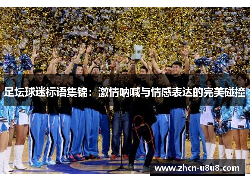 足坛球迷标语集锦：激情呐喊与情感表达的完美碰撞
