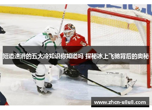 短道速滑的五大冷知识你知道吗 探秘冰上飞驰背后的奥秘